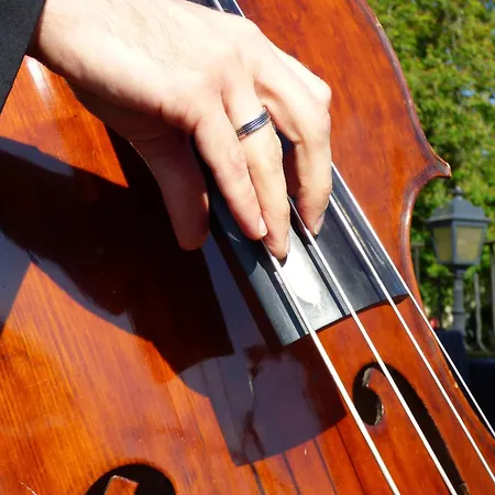 酒店 弗尔城堡酒店 5*