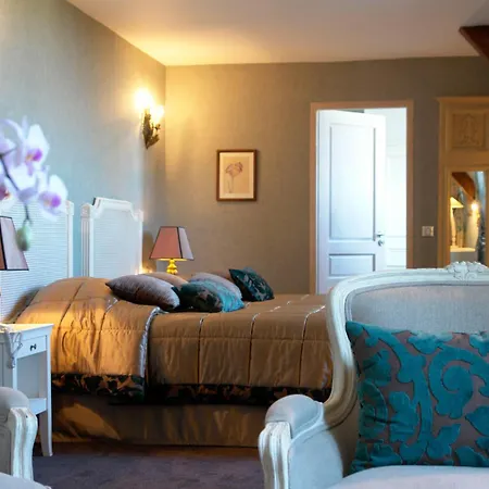 Hotel Chateau De