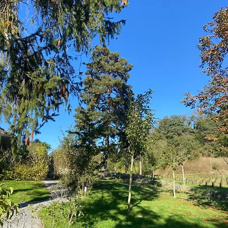 Chateau De Fere-en-Tardenois