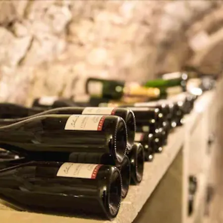 弗尔城堡酒店 费尔昂塔德努瓦