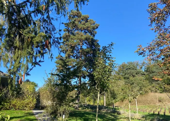 Chateau De Fere-en-Tardenois
