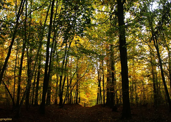 Chateau De Fere-en-Tardenois
